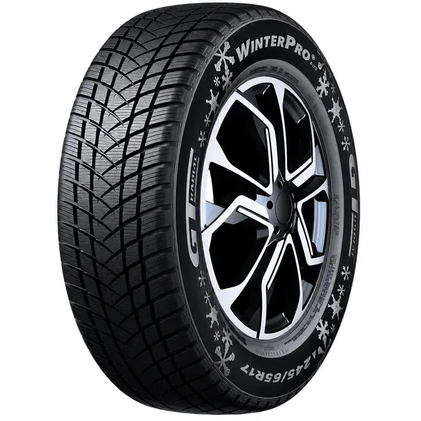 GT Radial 225/55R16 99H WINTER PRO 2 EVO 3PMSF XL