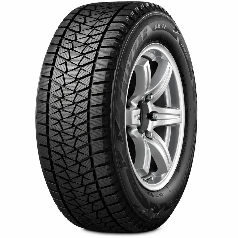 Bridgestone Blizzak DM V2 ( 235/75 R15 109R XL EVc, Nordic compound, s ochrannou ráfku (MFS) )