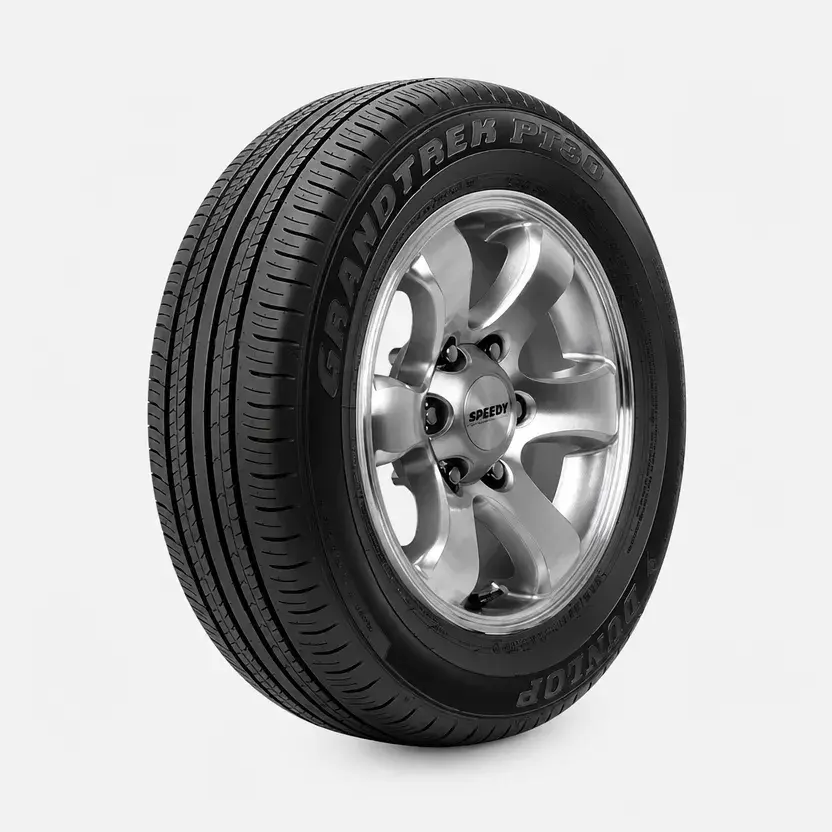 Dunlop Grandtrek PT30 ( 225/65 R17 102H BLK )