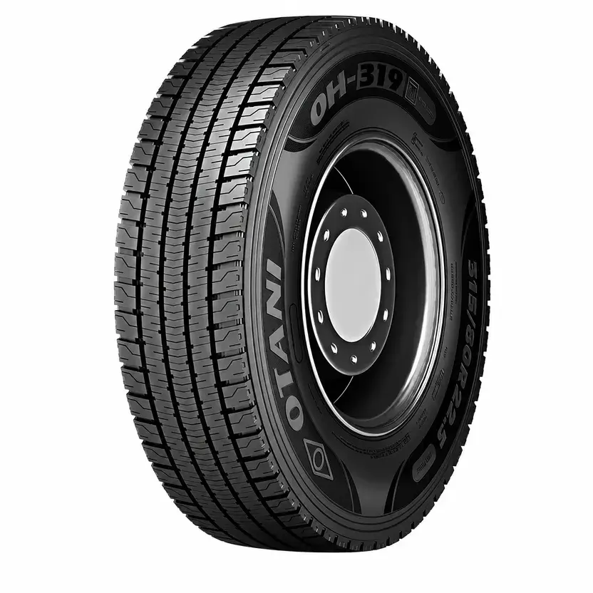 Otani 315/80 R22,5 156/150L M+S OH-319 PR20