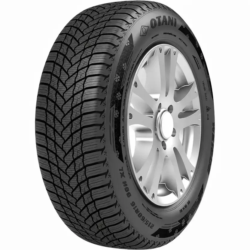 Otani 195/55R15 85H WE1000