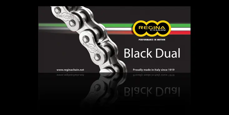 REGINA hnací řetěz 520ZRA (114 článků) Z-RING DUAL do 600ccm černá včetně spojek (135ZRA/1010) ( )