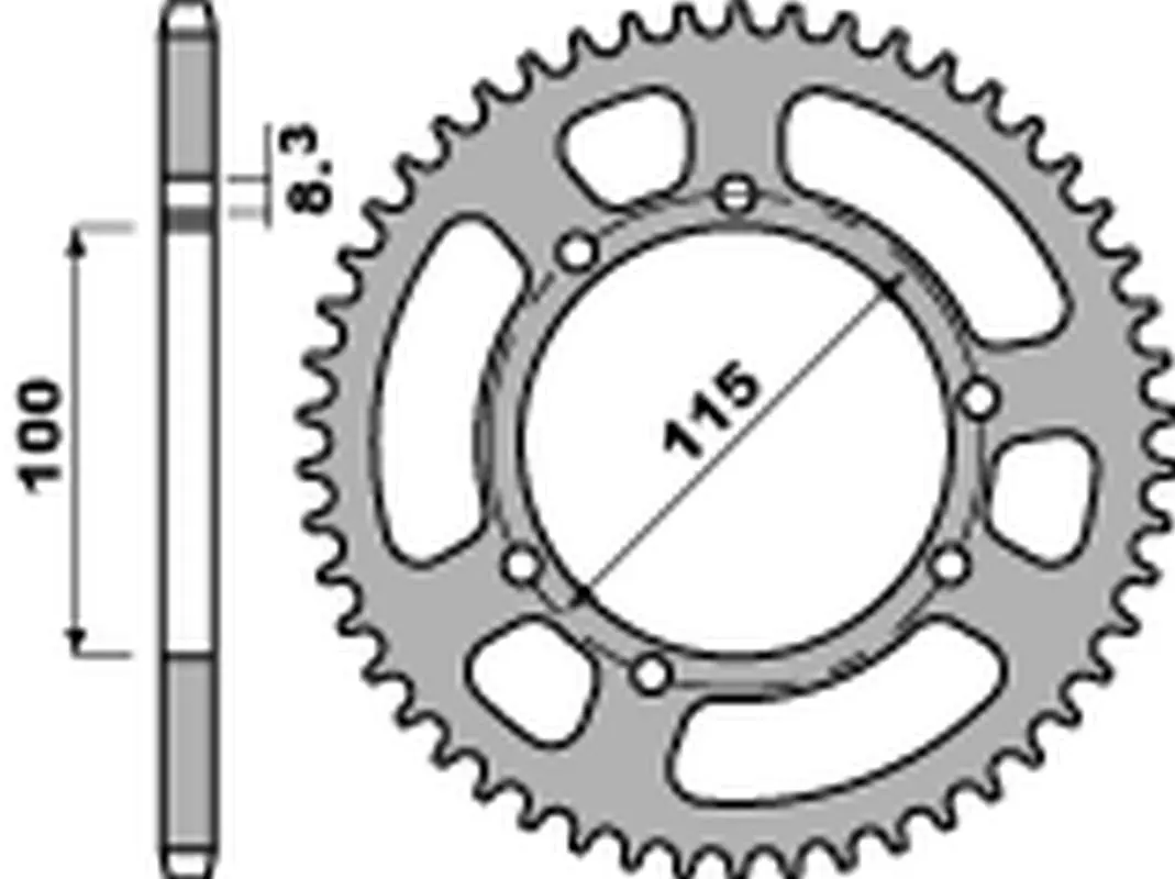 PBR zadní řetězové kolo 4502 60 C45 HUSQVARNA CH 125 SM '05, FANTIC 125 '05-'11 (ŘETĚZ 428) (MADE IN ITALY) ( )