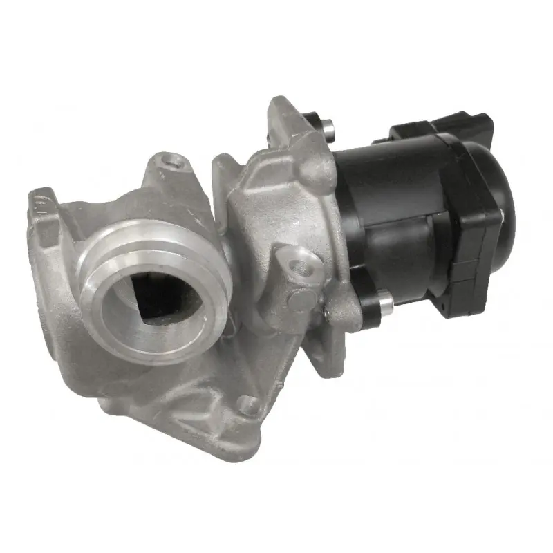 EGR Ventil pro Ford 1,6