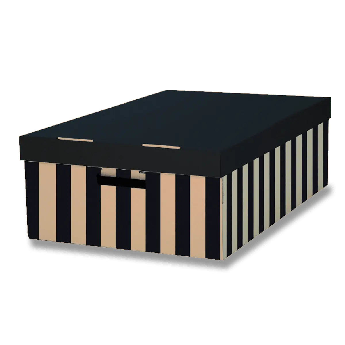HIT Office Archivační krabice BIG BOX s víkem -37,0 x 18,0 x 56,0 cm, 2 ks