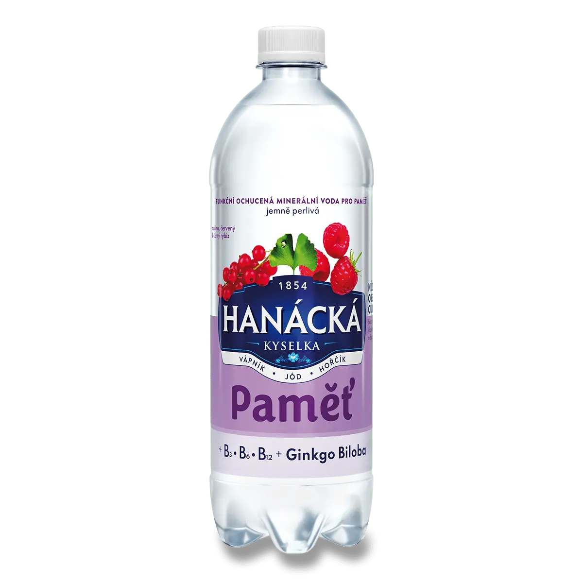 Hanácká kyselka Ochucená minerální voda Paměť 700 ml