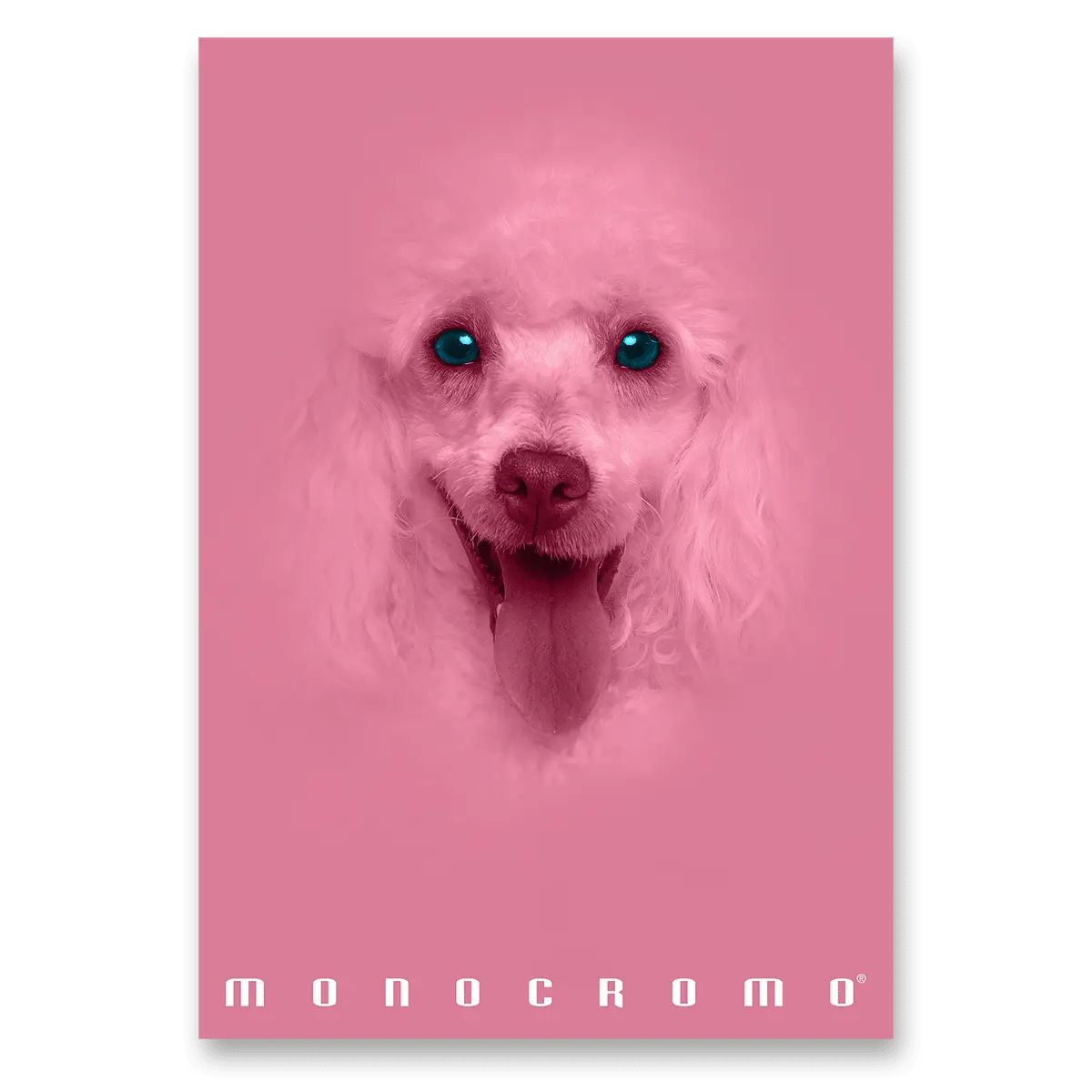 Pigna Monocromo Pink - školní sešit - A4, 38 listů, linkovaný, mix motivů