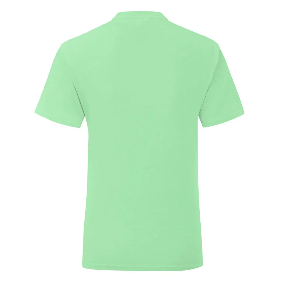 Iconic Fruit of the Loom Girls' Mint T-shirt