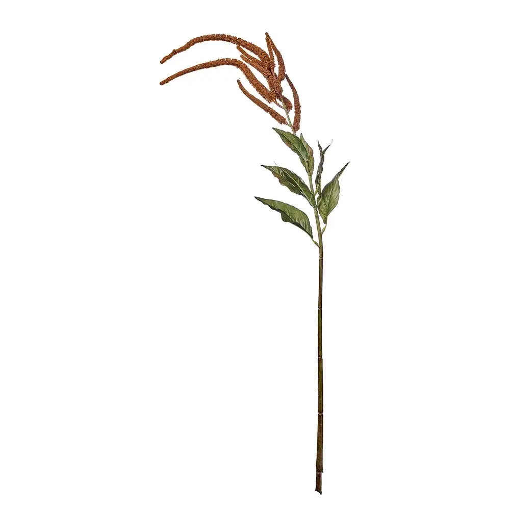 FLORISTA Proso 110 cm - hnědá