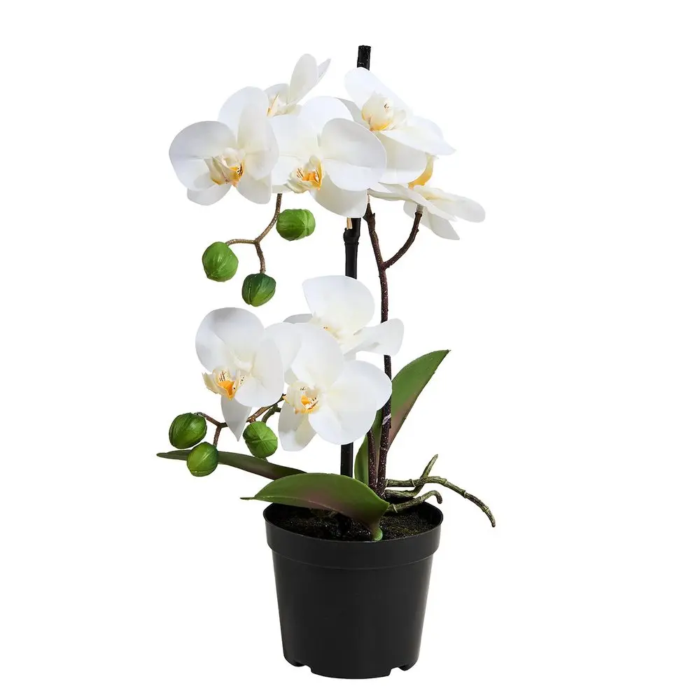 FLORISTA Orchidej v květináči 35 cm - bílá