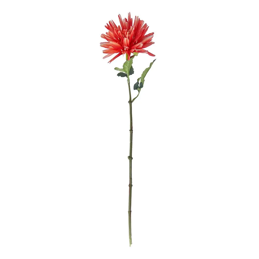 FLORISTA Jiřina 59 cm - červená