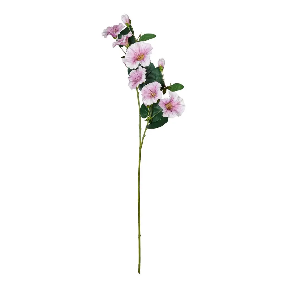 FLORISTA Povíjnice 76 cm - sv. růžová