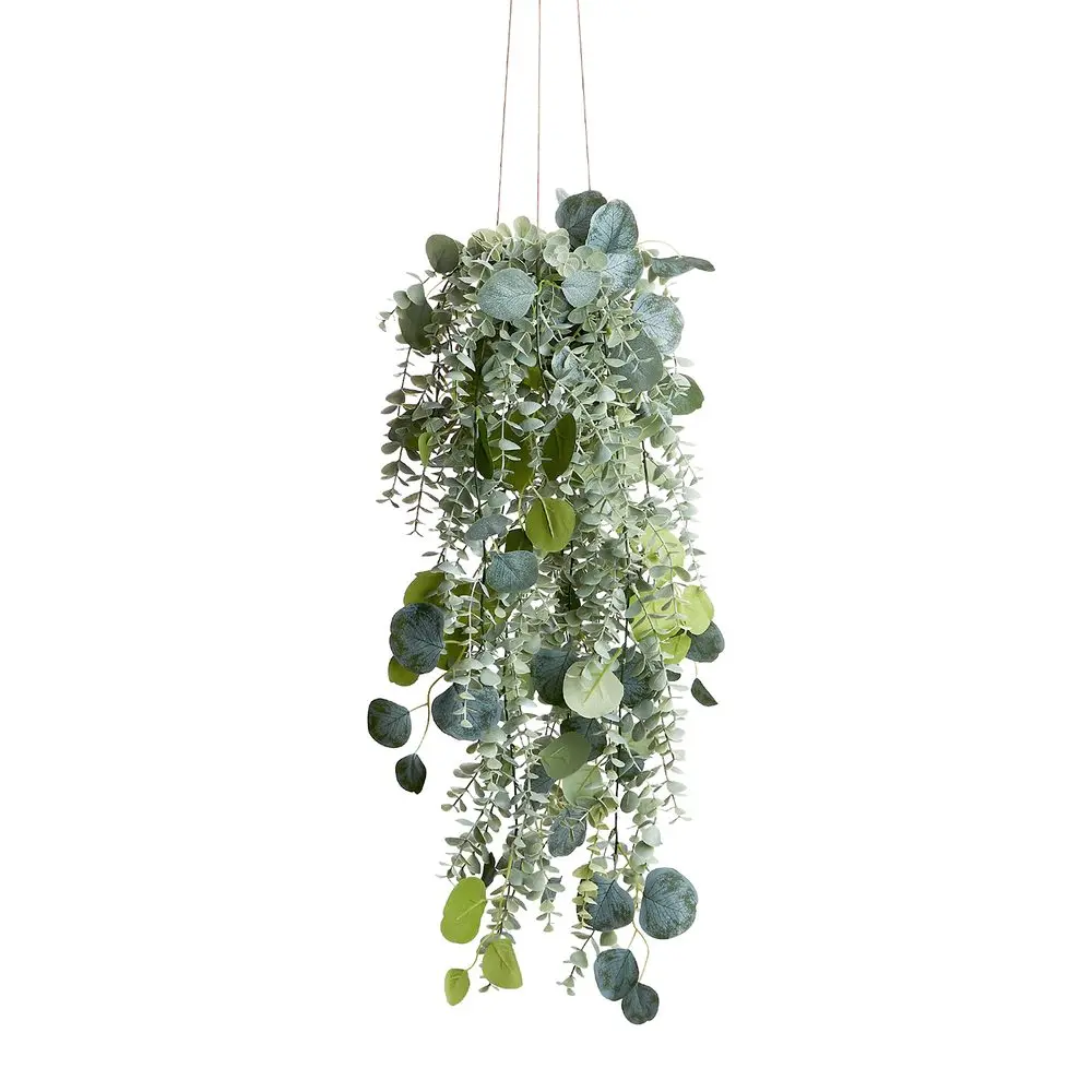 FLORISTA Eukalyptus převislý mix 65 cm