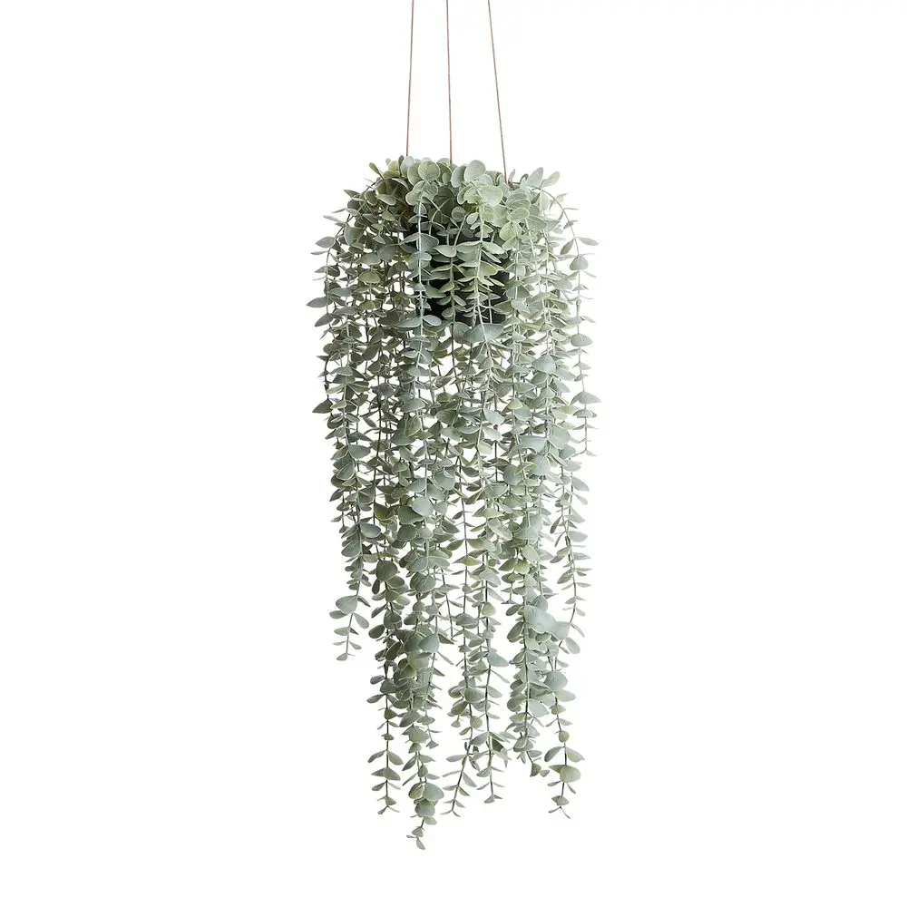 FLORISTA Eukalyptus převislý malý list 65 cm