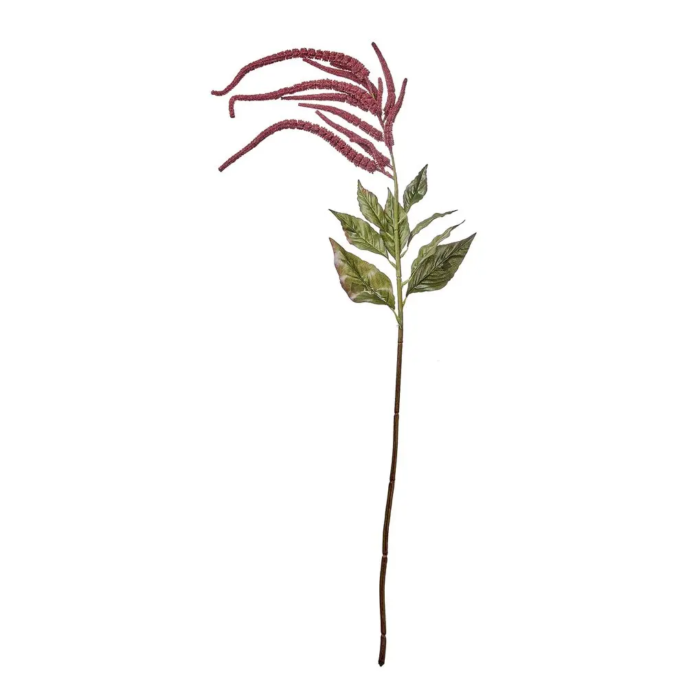 FLORISTA Proso 110 cm - červená