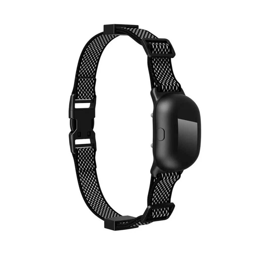 Obojek a přijímač Pethey T300 | P52176