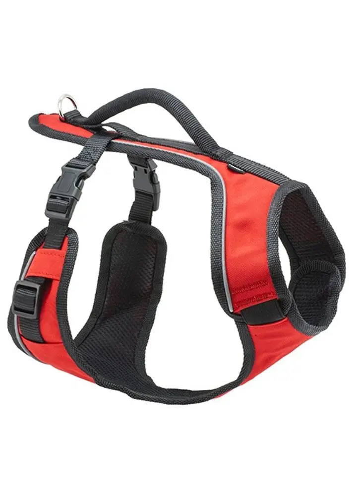 PetSafe® EasySport™ | Postroj pro psa - Modrá - L | P6560