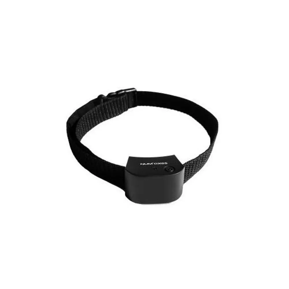Obojek a přijímač Canifugue Small | P3260