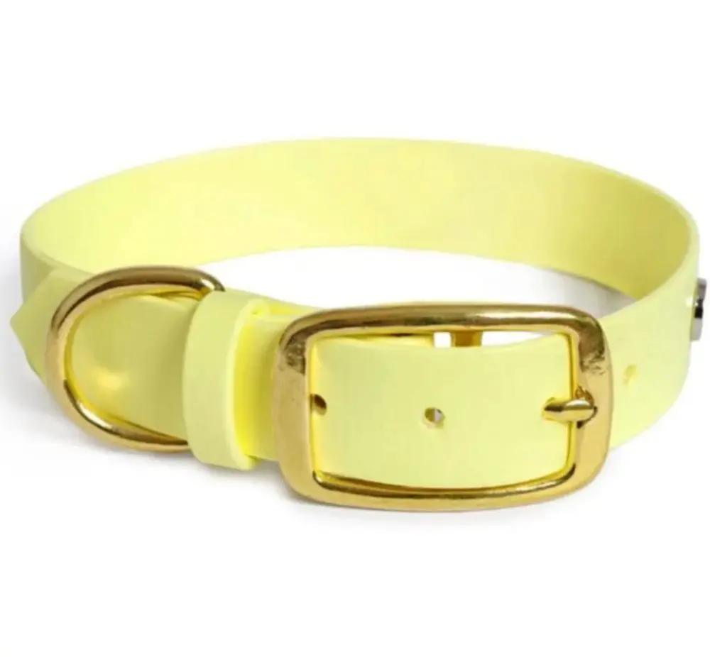Reedog obojek pastelově žlutý Biothane | Obojek pro psy - S | P58353