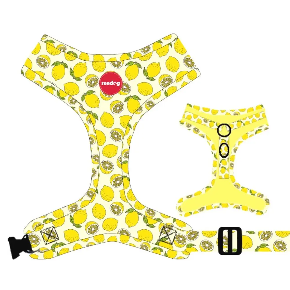 Reedog LEMON - S | P51909