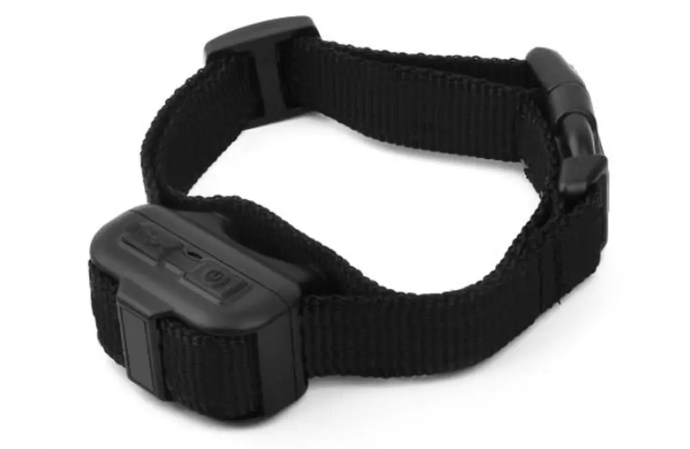Pethey DB60 | P53250