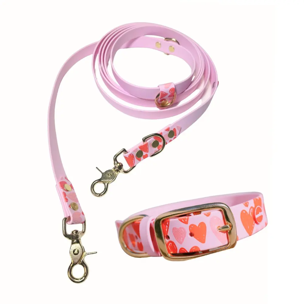 Reedog venčící set srdce Biothane OBOJEK + VODÍTKO | P59235