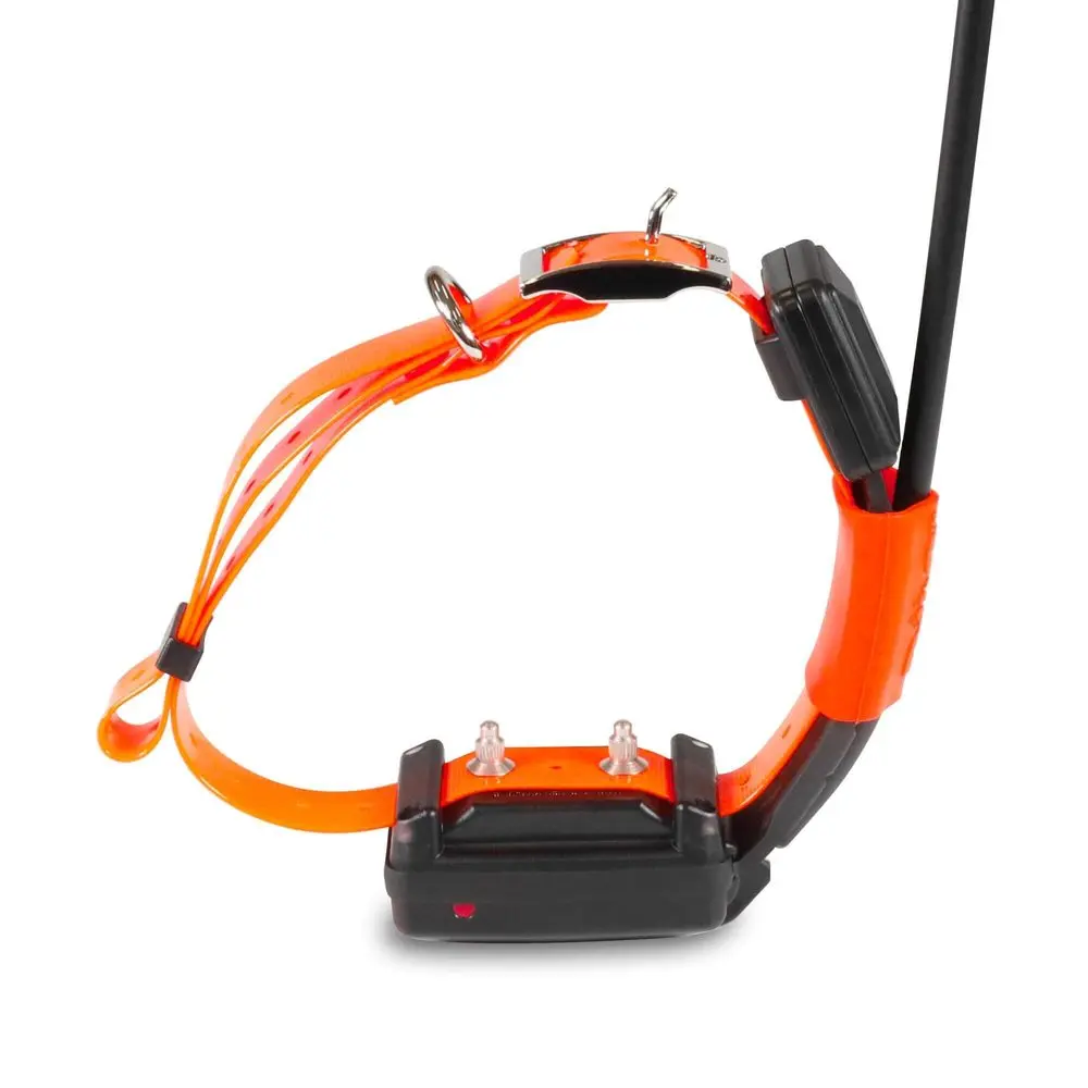 Kratší obojek pro dalšího psa - DOG GPS X25T Short | P54410