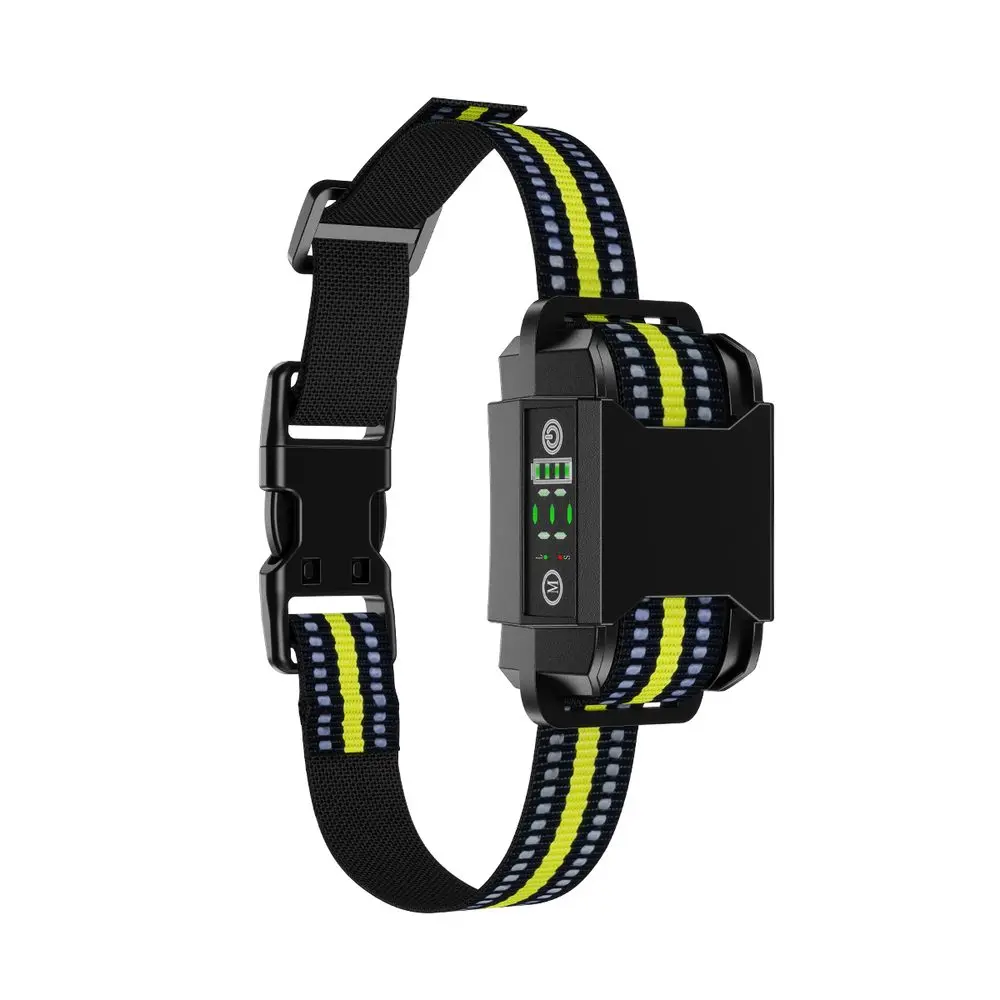 Pethey B601 | P48897