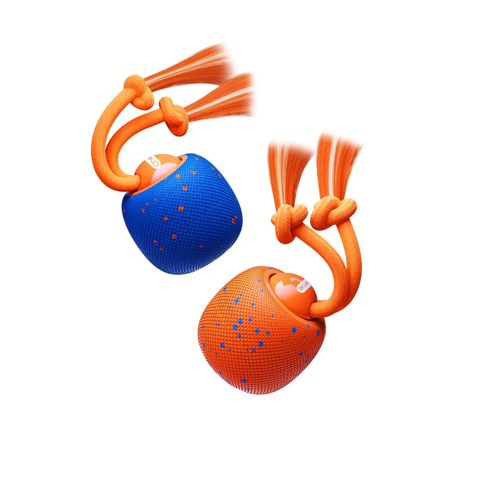 Cheerble Wicked Ball Rolly | P58298
