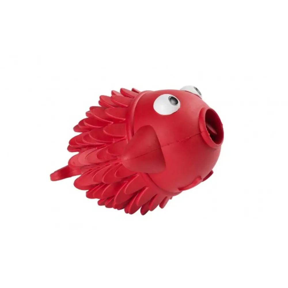 Eyenimal Fish | P53354