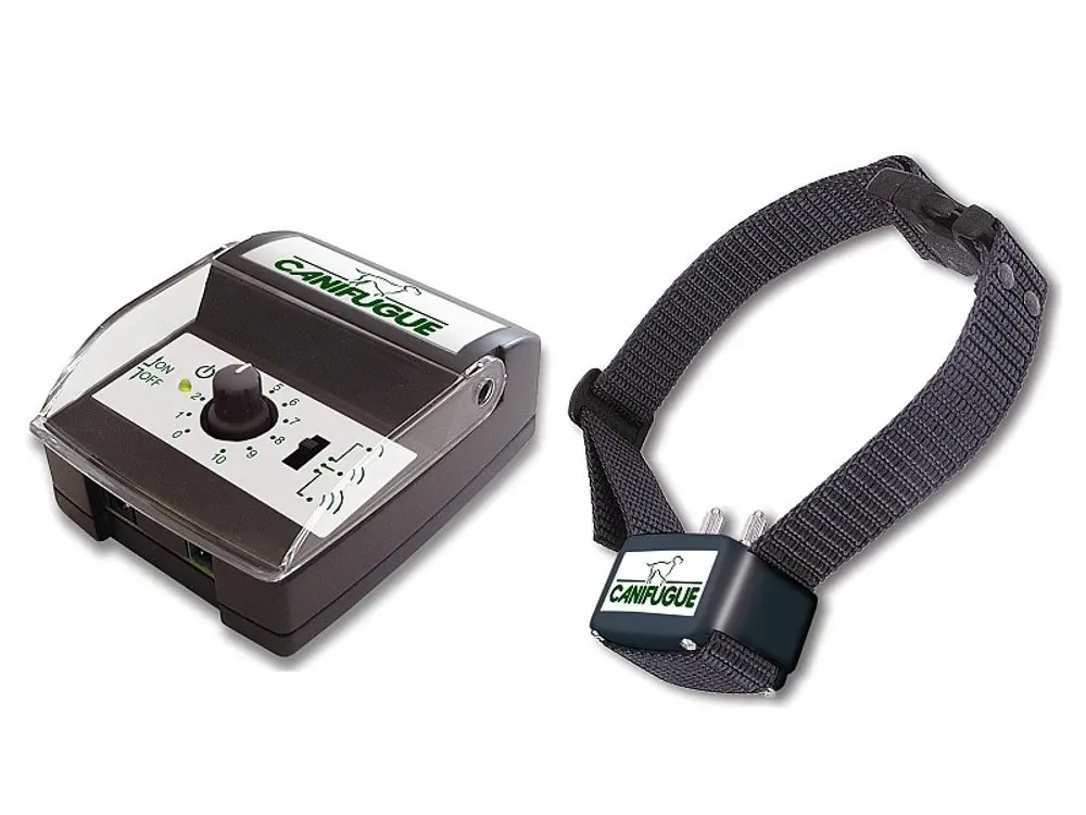 Num´axes Canifugue - pro 1 psa | P759
