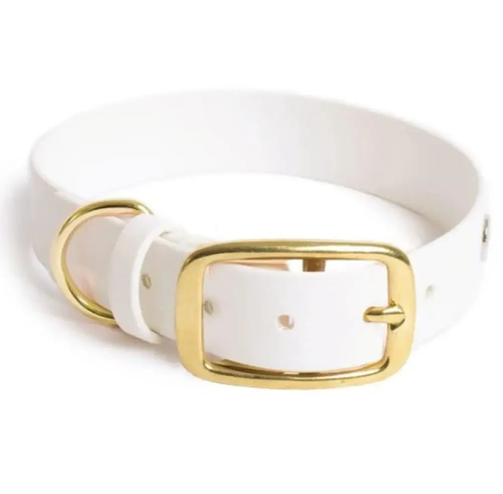 Reedog obojek bílý Biothane - XS | P58463