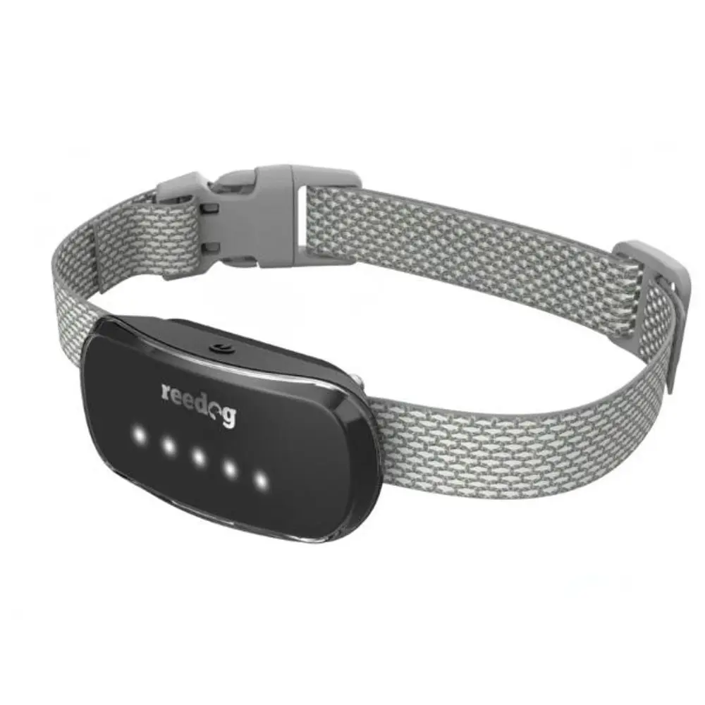 Reedog TC-005 | P53090