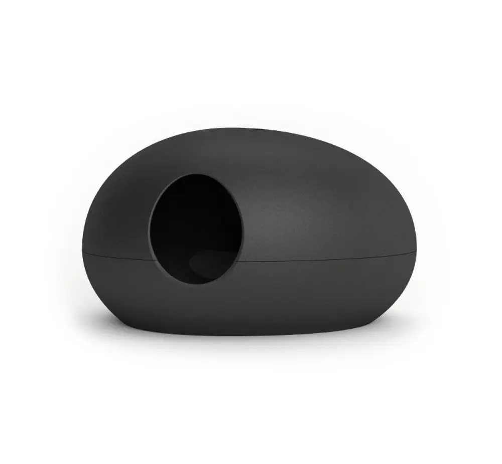 Poopoopeedo | P52999