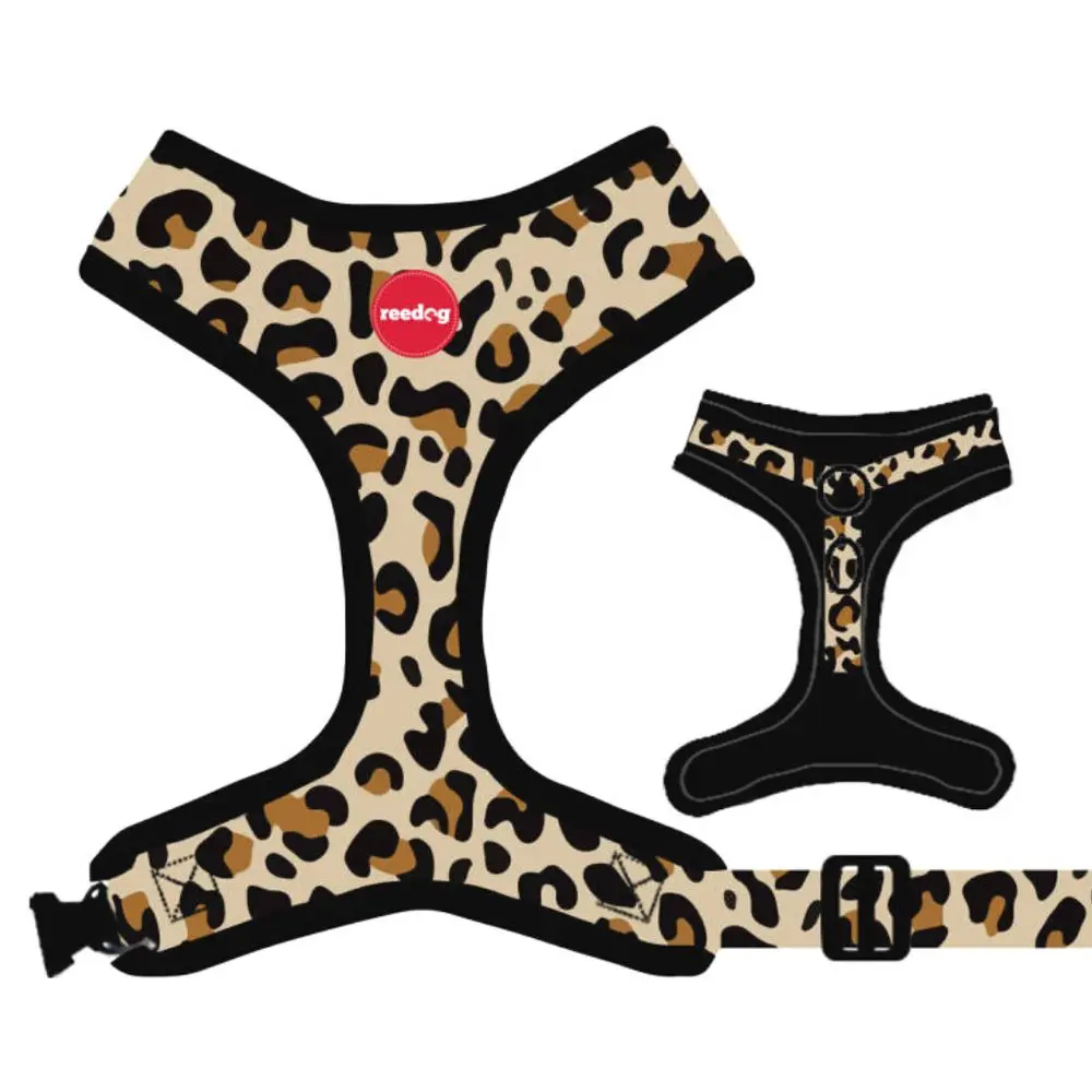 Reedog LEO - M | P51926