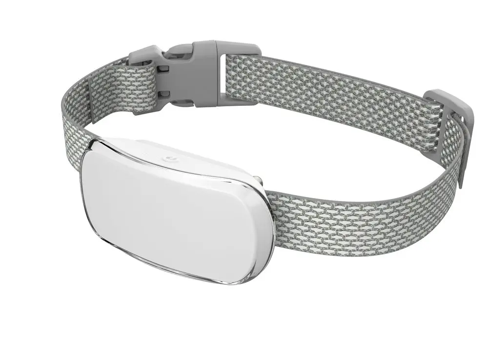 Reedog TC-005 - Bílá | P55605