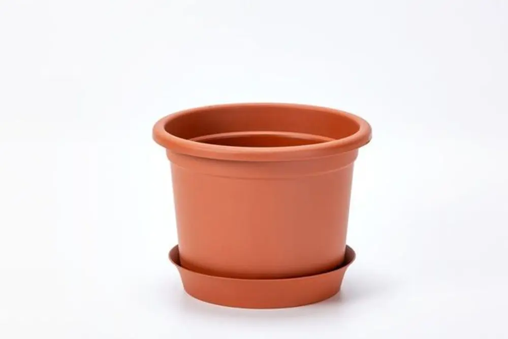 obal d19cm Narcis TER