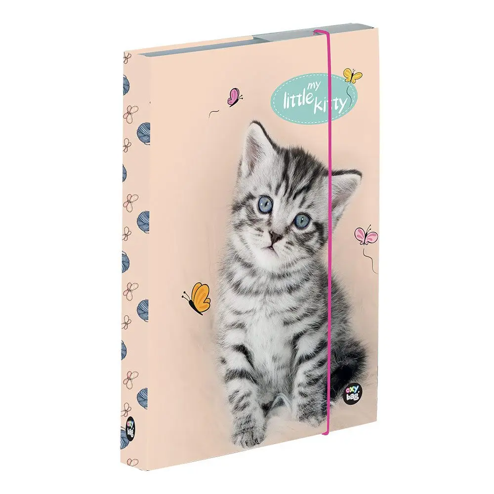 Karton P+P Box na sešity A5 kočka KT3-77023