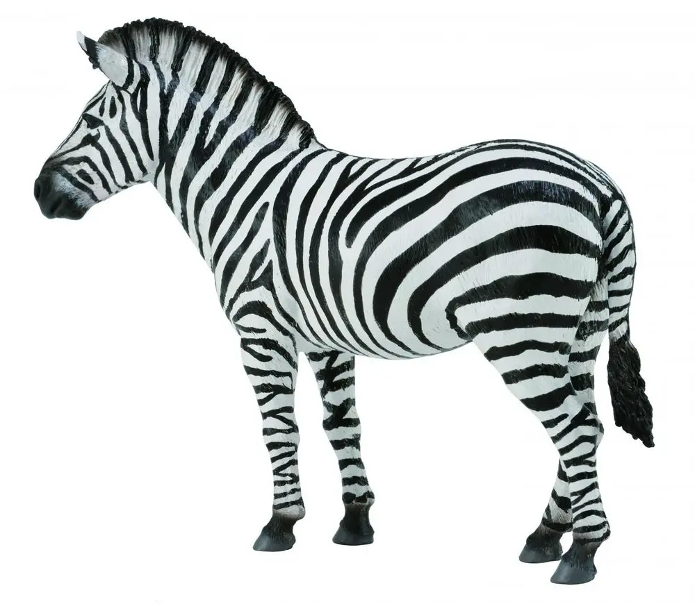 Collecta zebra