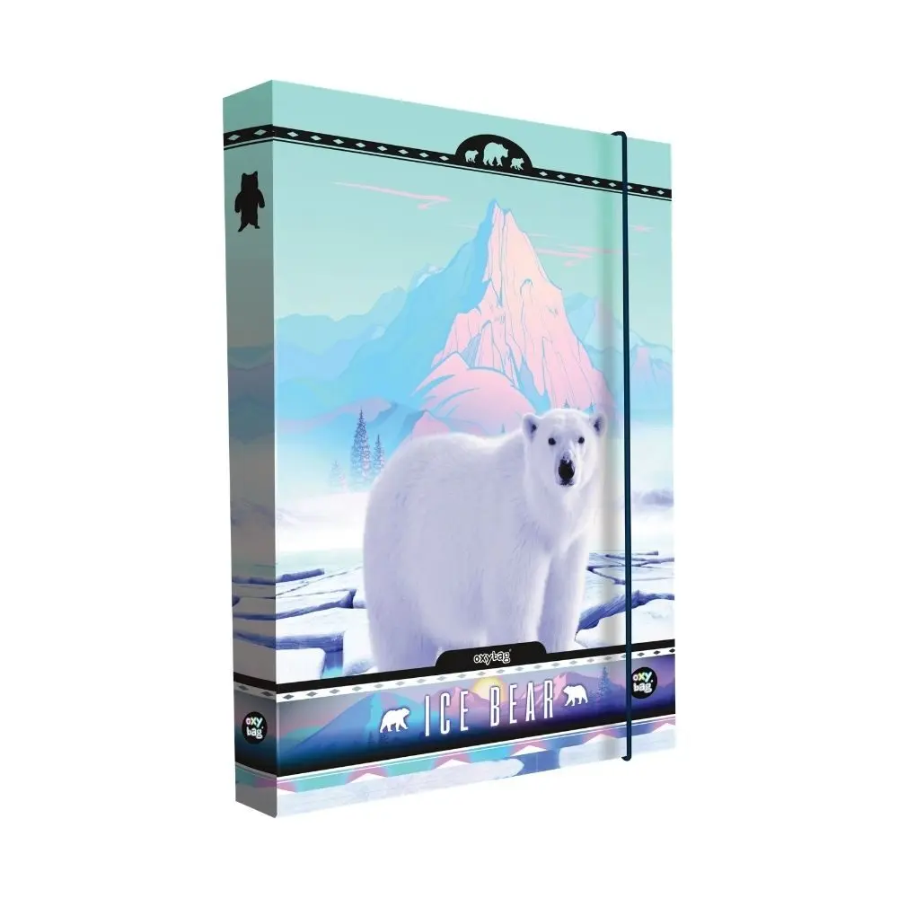 Karton P+P Box na sešity A4 Jumbo Bear KT8-72721