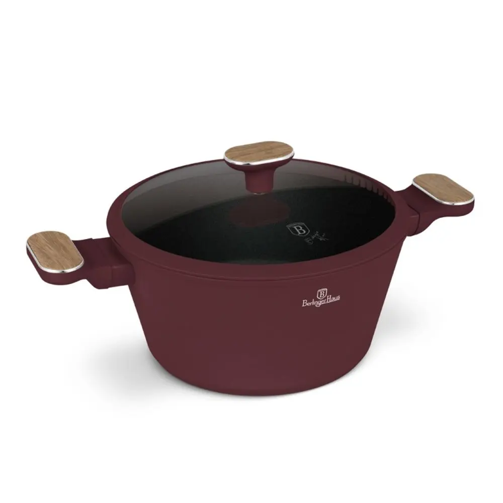 BERLINGERHAUS Kastrol s titanovým povrchem a poklicí 24 cm Leonardo Nordic Collection BH-8301