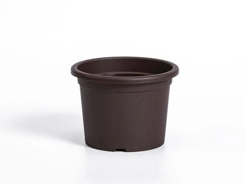 obal d23cm Narcis Čoko