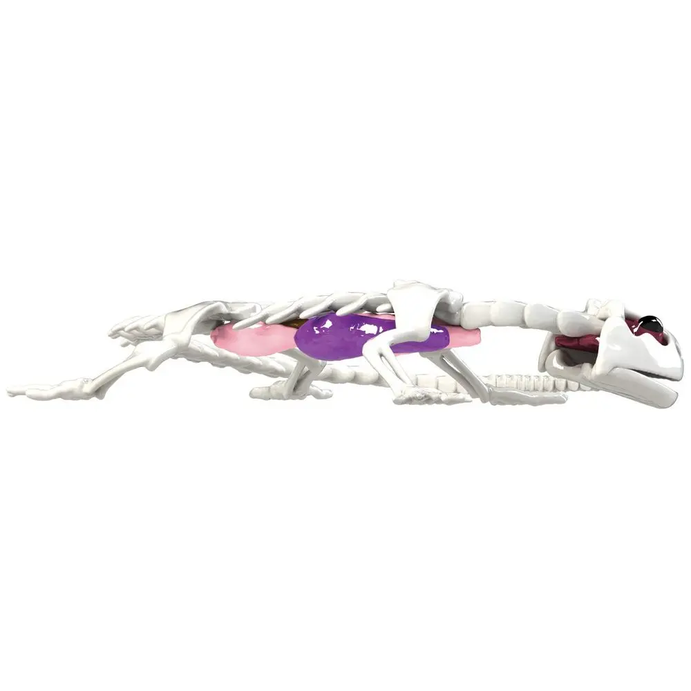 Simba Toys Objevuj - Mini Laboratoř - 3 druhy