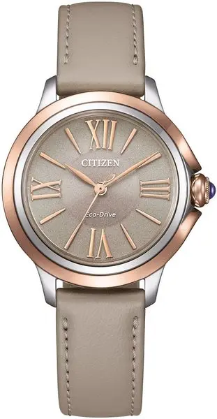 Citizen L Eco-Drive EM1166-01Z