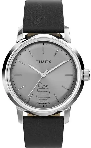 TIMEX TW2Y100007U