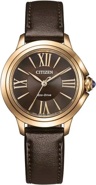 CITIZEN dámské hodinky Elegant Eco Drive hodinky CIEM1163-09X