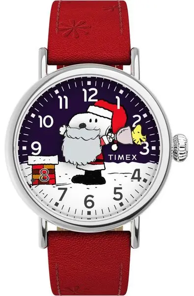 TIMEX TW2W44400BR