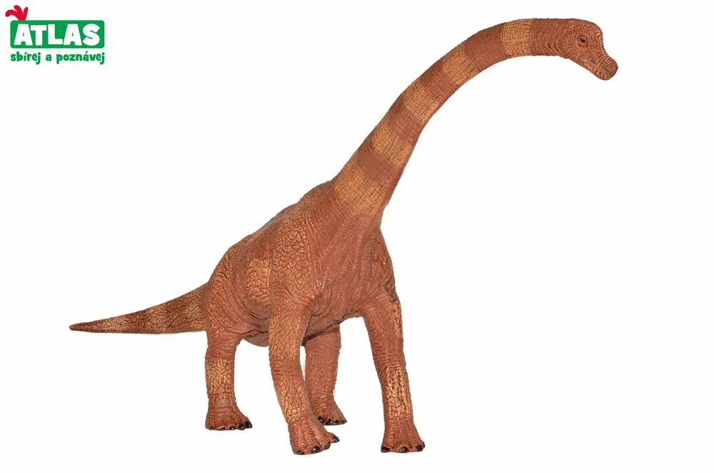 G - Figurka Dino Brachiosaurus 30cm, Atlas, W101830