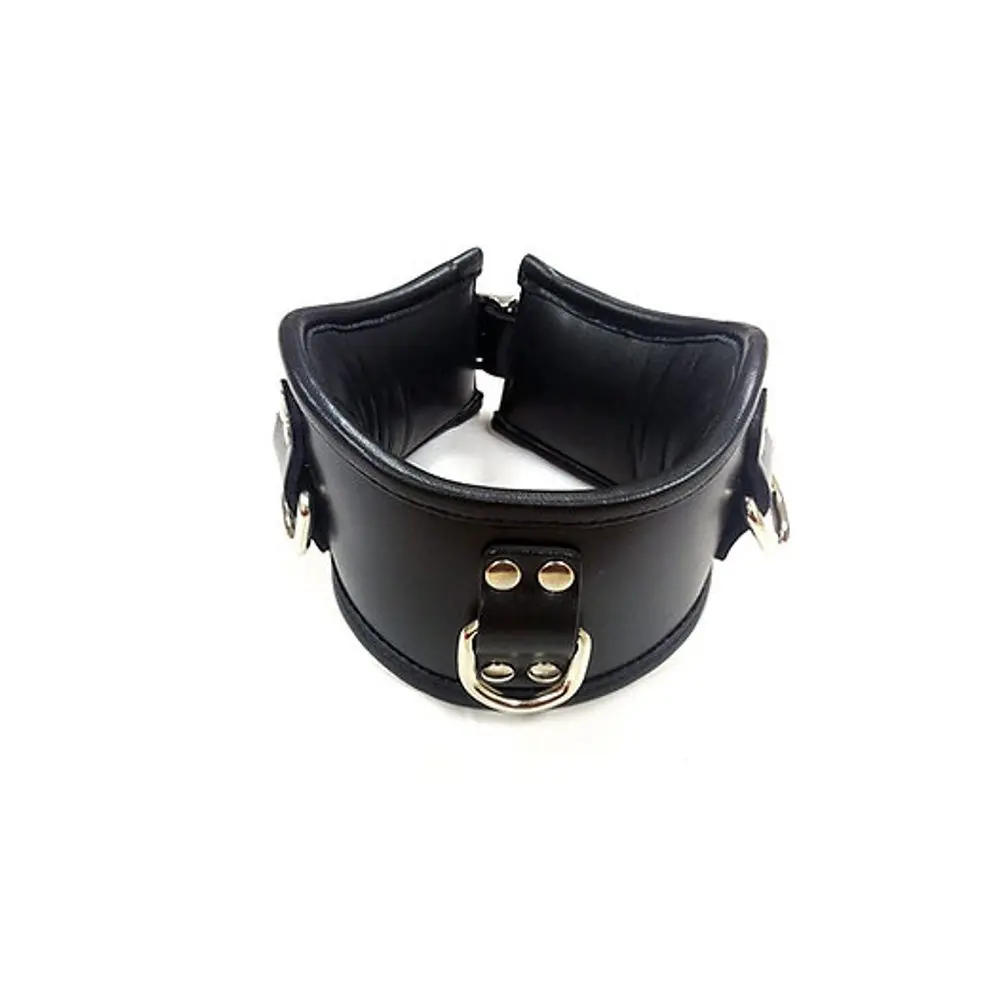 Rouge Leather Posture Collar