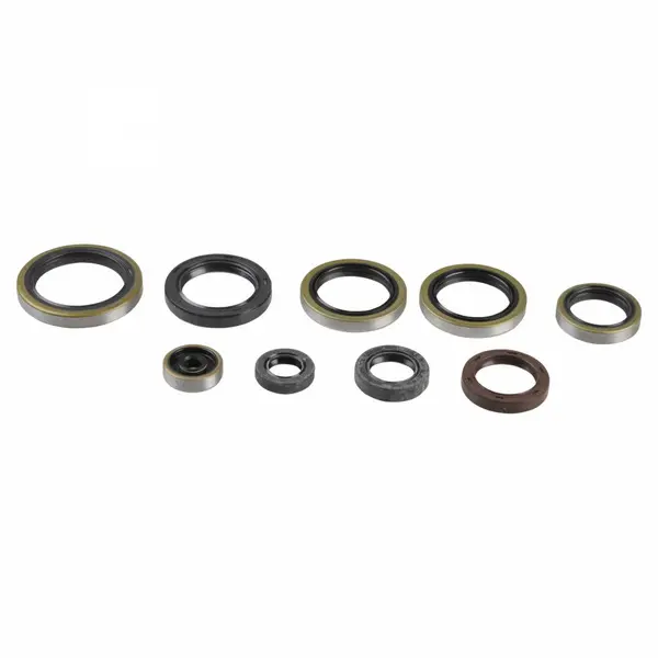 ATHENA sada motorového těsnění HUSABERG TE 300, 250 11-12, HUSQVARNA TC 250 KTM ENGINE 17, TE 300, 250 KTM ENGINE 14-16, KTM EXC 250, 300 (SIX DAYS),